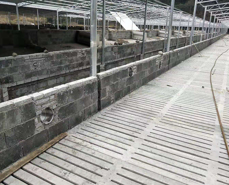 水泥漏糞板在養(yǎng)殖廠受到重用的原因 水泥漏糞板在養(yǎng)殖廠受到重用的原因